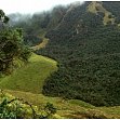 Ecosystem functioning in tropical forests