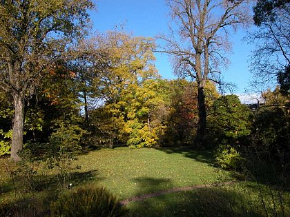 Arboretum im Herbst
